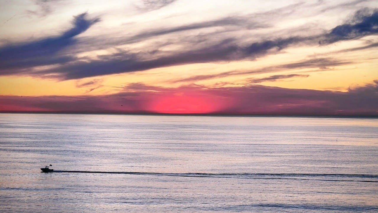 Photo of Others in South Redondo