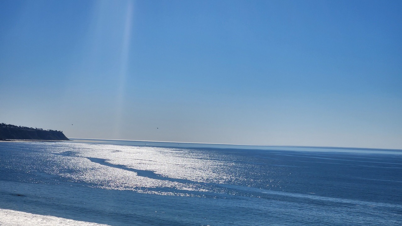 Photo of Others in South Redondo