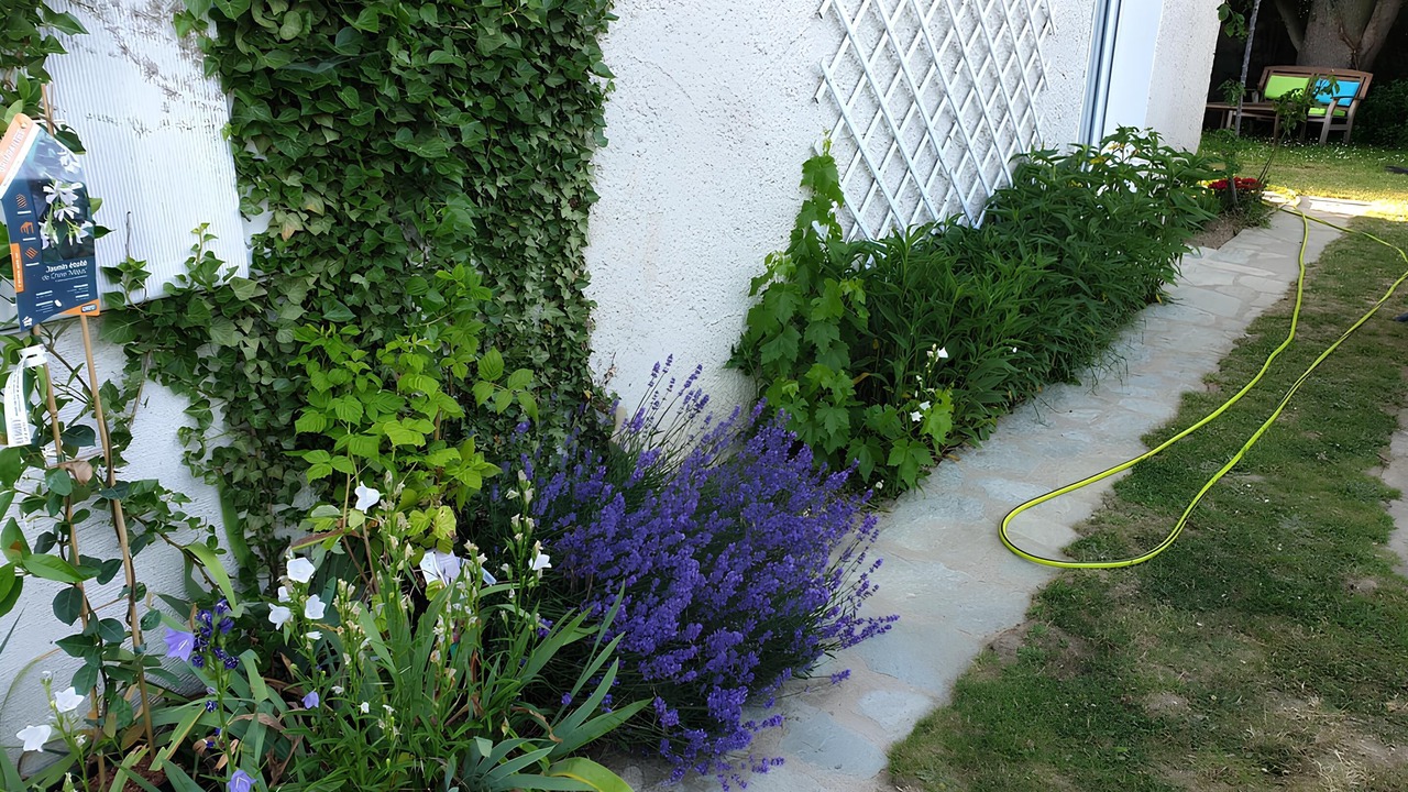 Photo of Outdoor in Les-Loges-en-Josas
