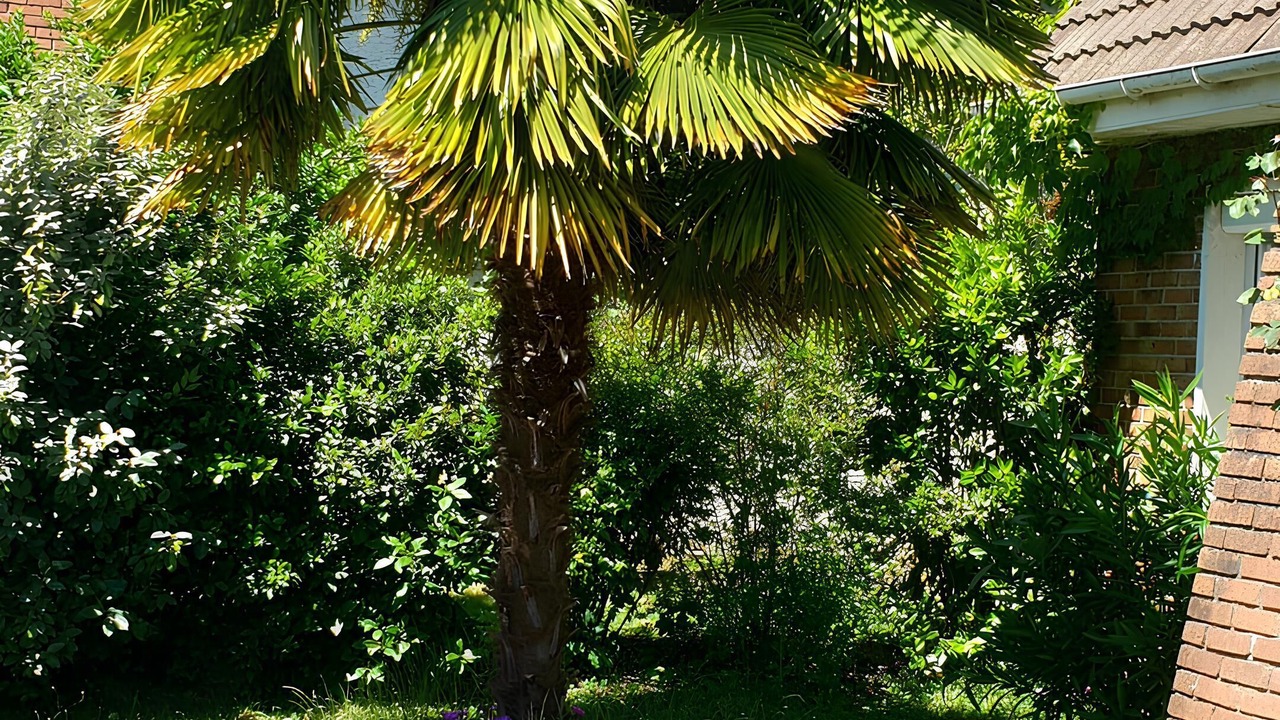 Photo of Outdoor in Les-Loges-en-Josas