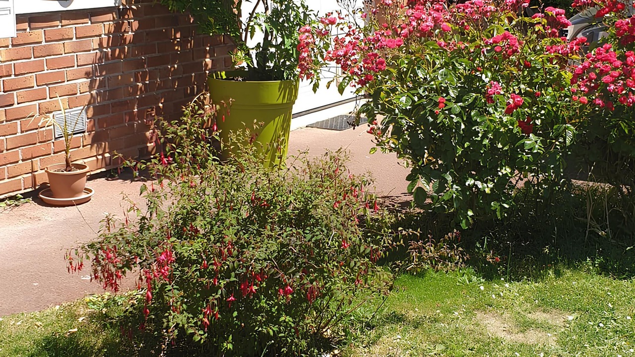 Photo of Outdoor in Les-Loges-en-Josas