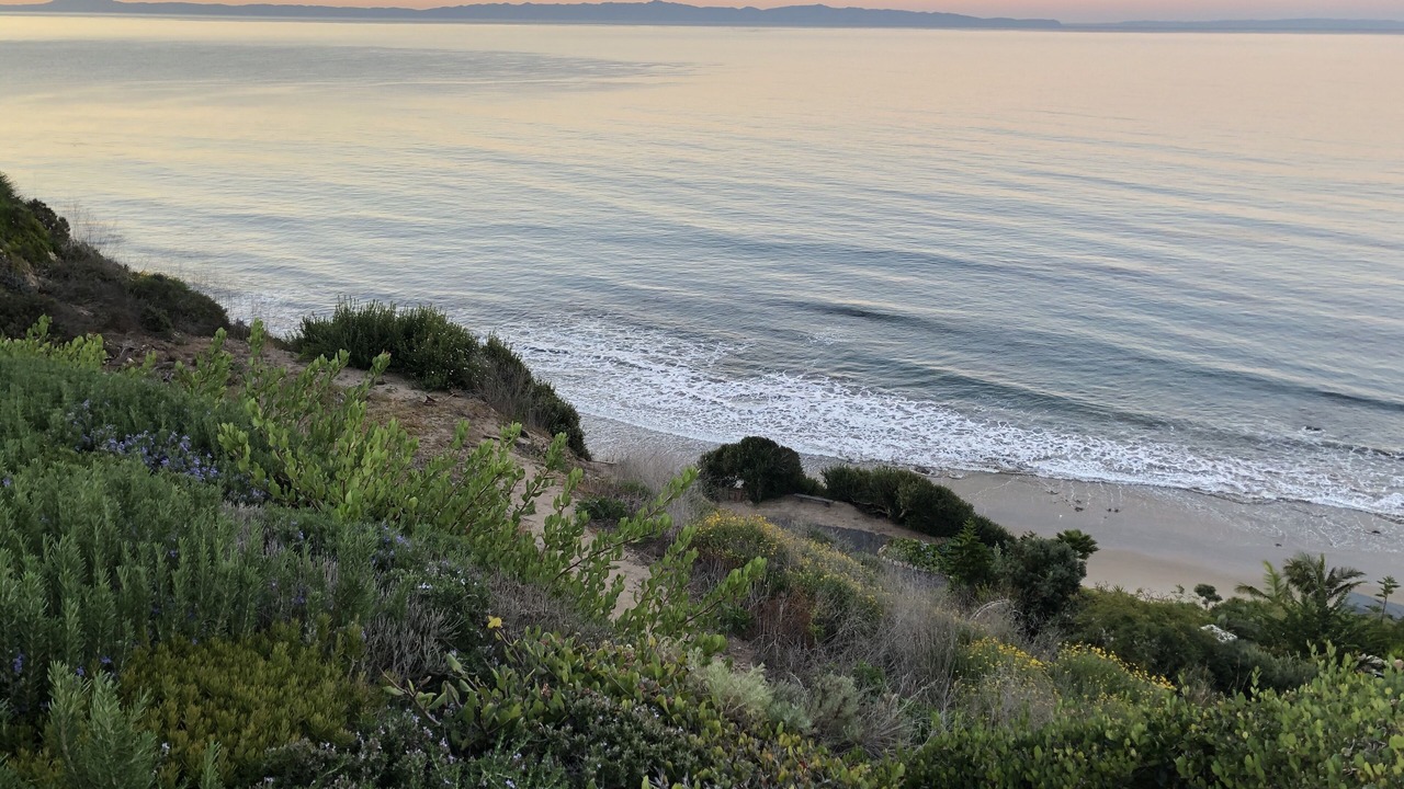 Photo of Others in Santa Barbara