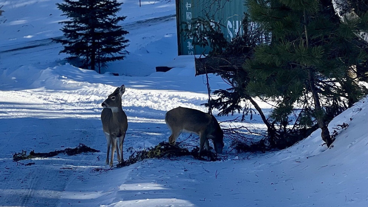 Photo of Others in Deadwood
