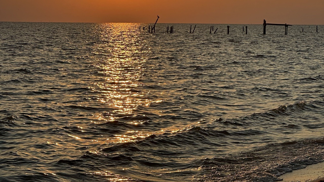 Photo of Others in Ocean Springs