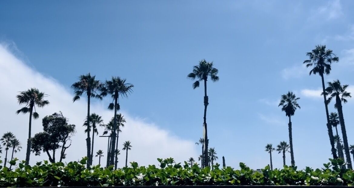 Photo of Outdoor in Port Hueneme