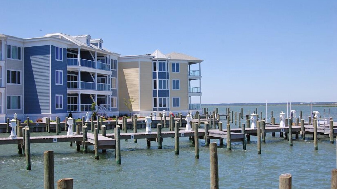Photo of Others in Chincoteague