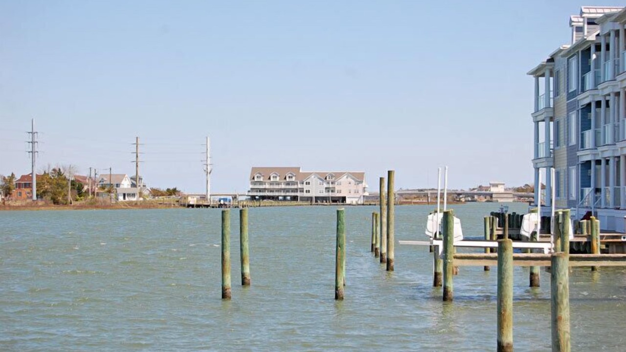Photo of Others in Chincoteague