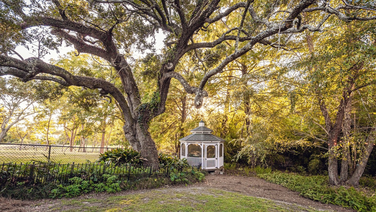 Photo of Outdoor in Biloxi