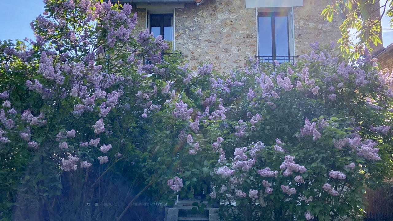 Photo of Outdoor in Le Chesnay