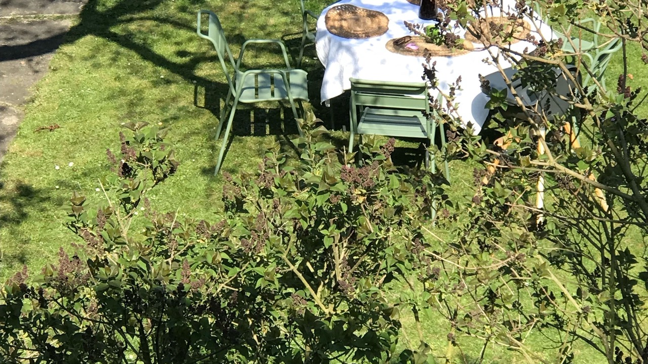 Photo of Outdoor in Le Chesnay