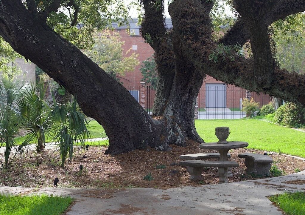 Photo of Outdoor in Pascagoula