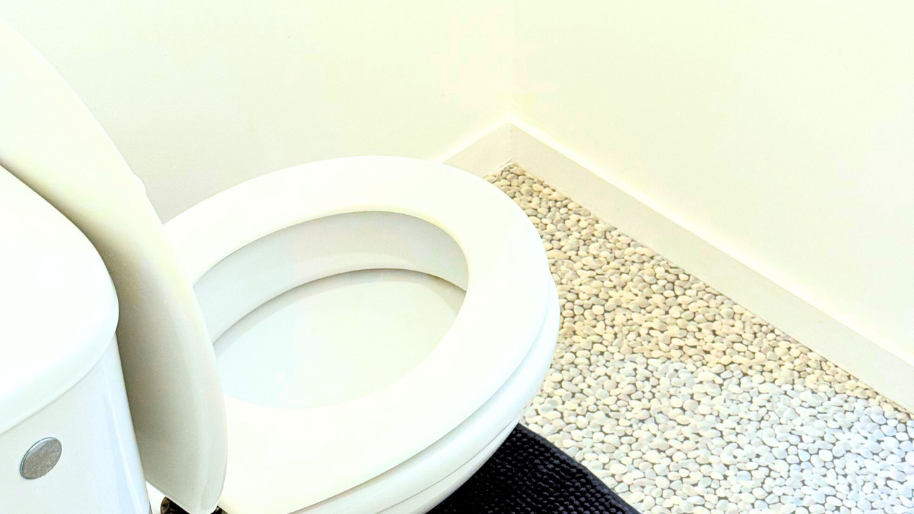 Photo of Bathroom in Domont