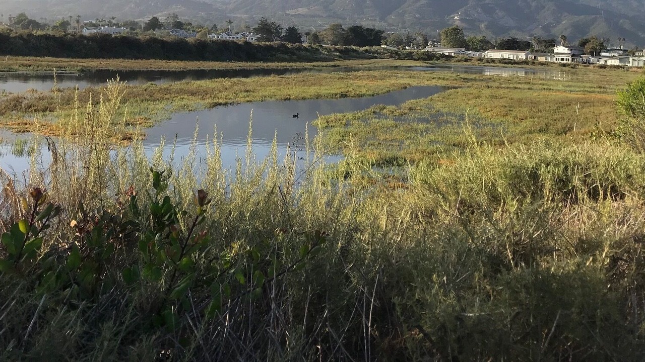 Photo of Others in Carpinteria