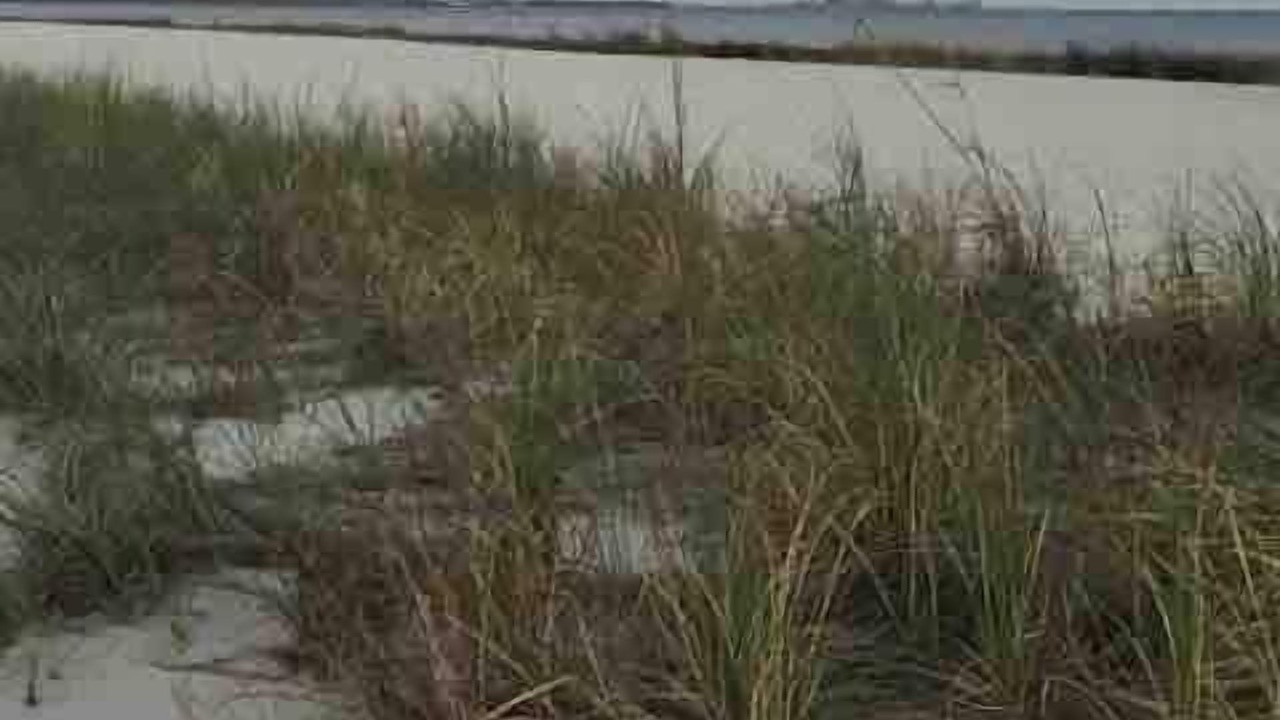 Photo of Others in Pascagoula
