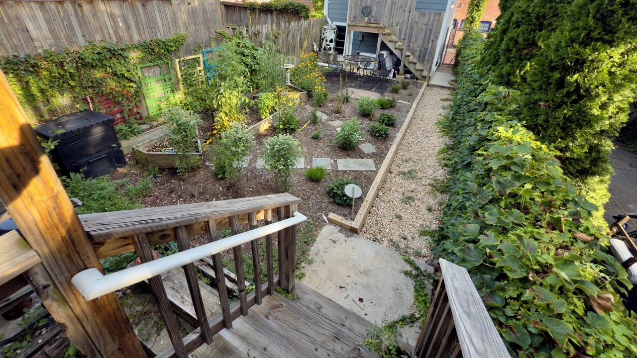 Photo of Outdoor in Capitol Hill