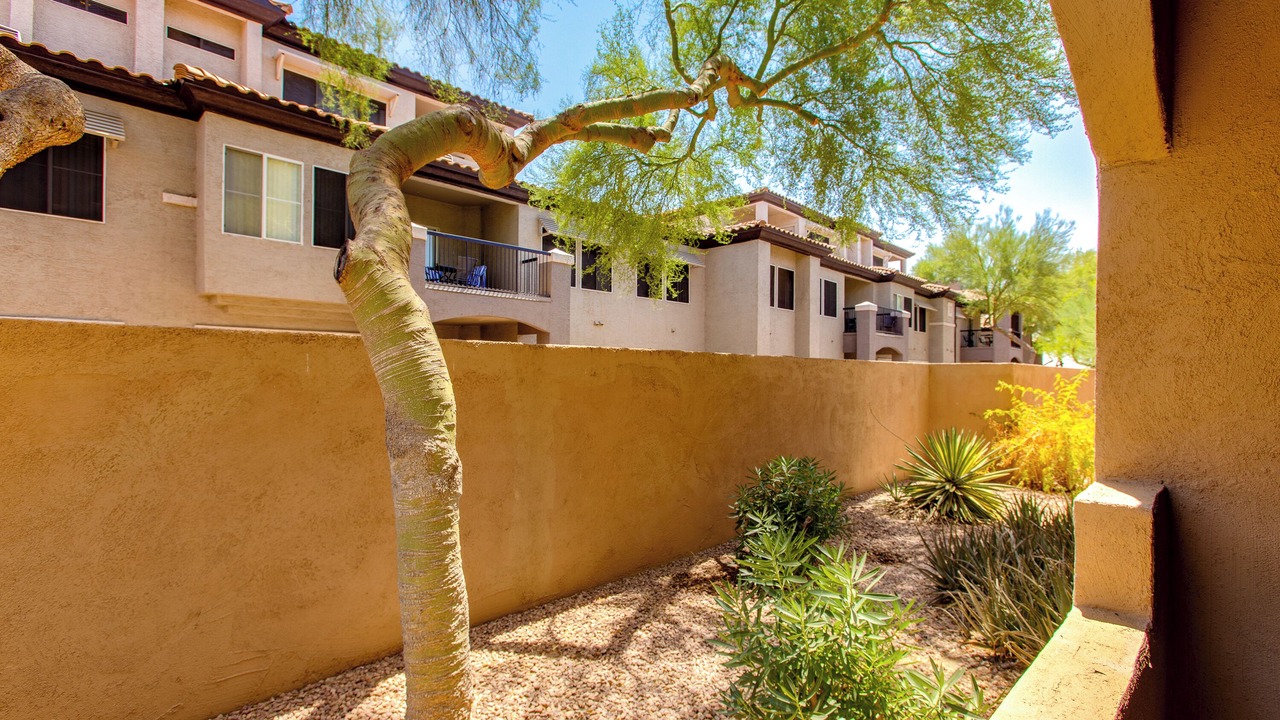 Photo of Outdoor in North Scottsdale