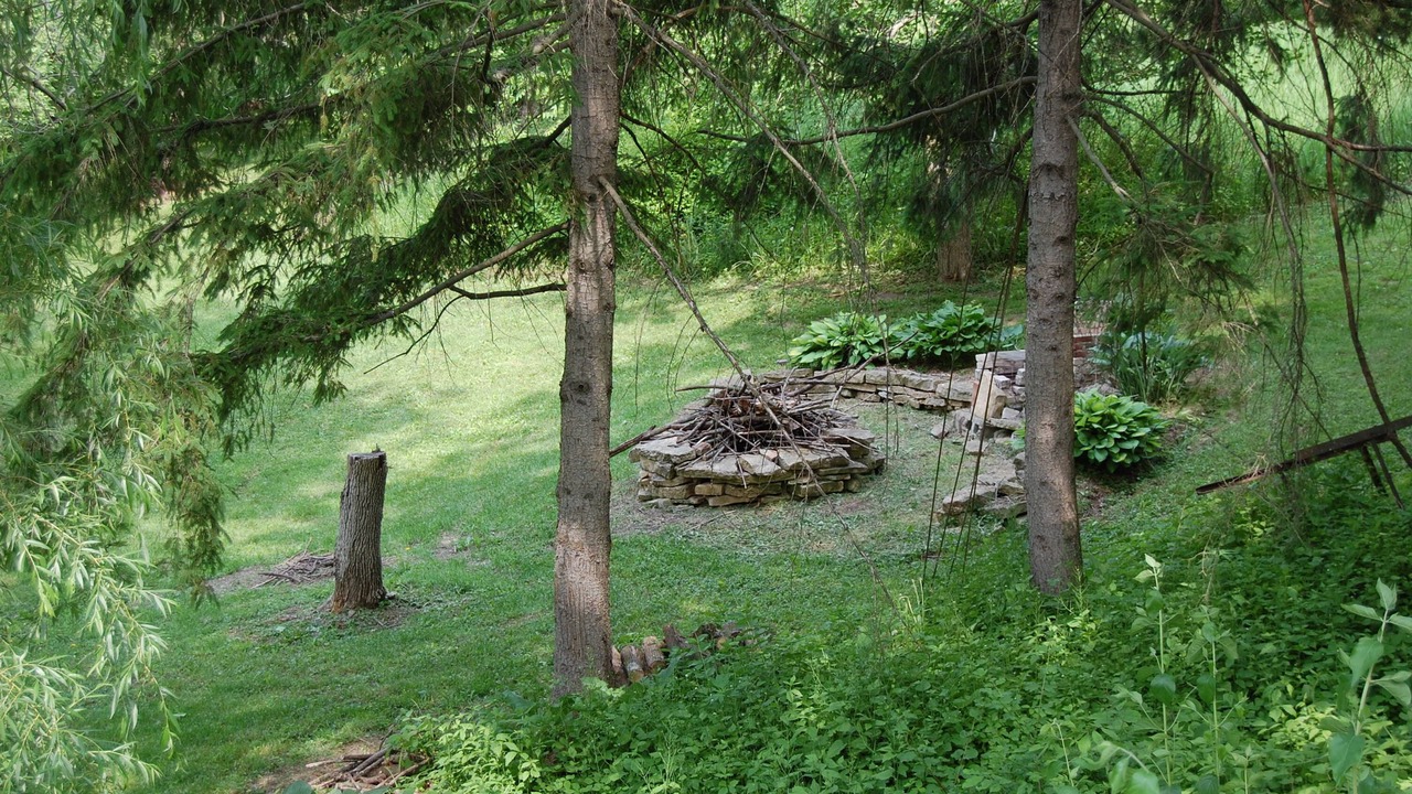 Photo of Others in Richland Center