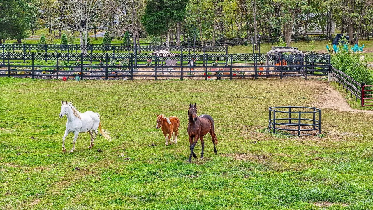 Photo of Others in Middleburg