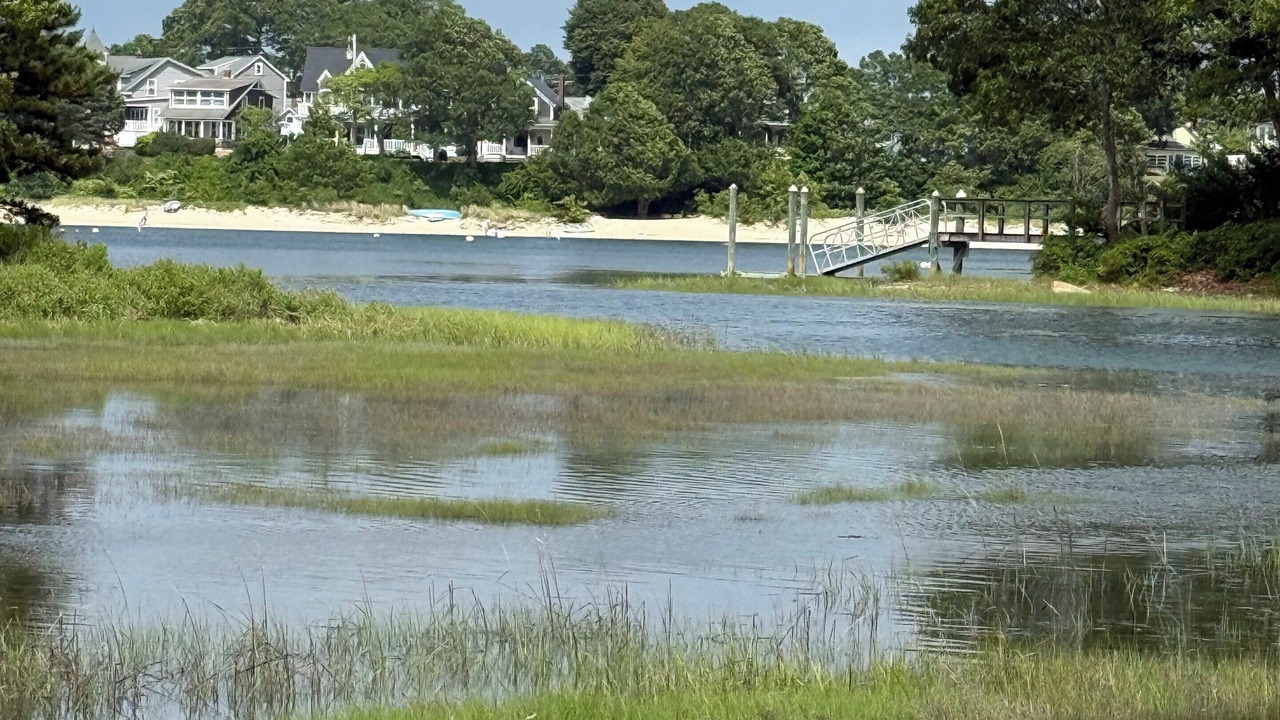 Photo of Others in Wareham