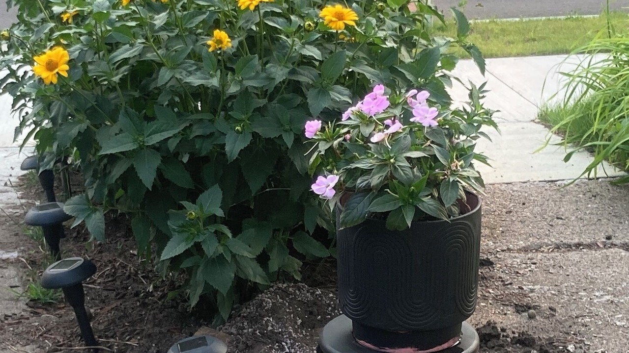 Photo of Outdoor in Little Falls