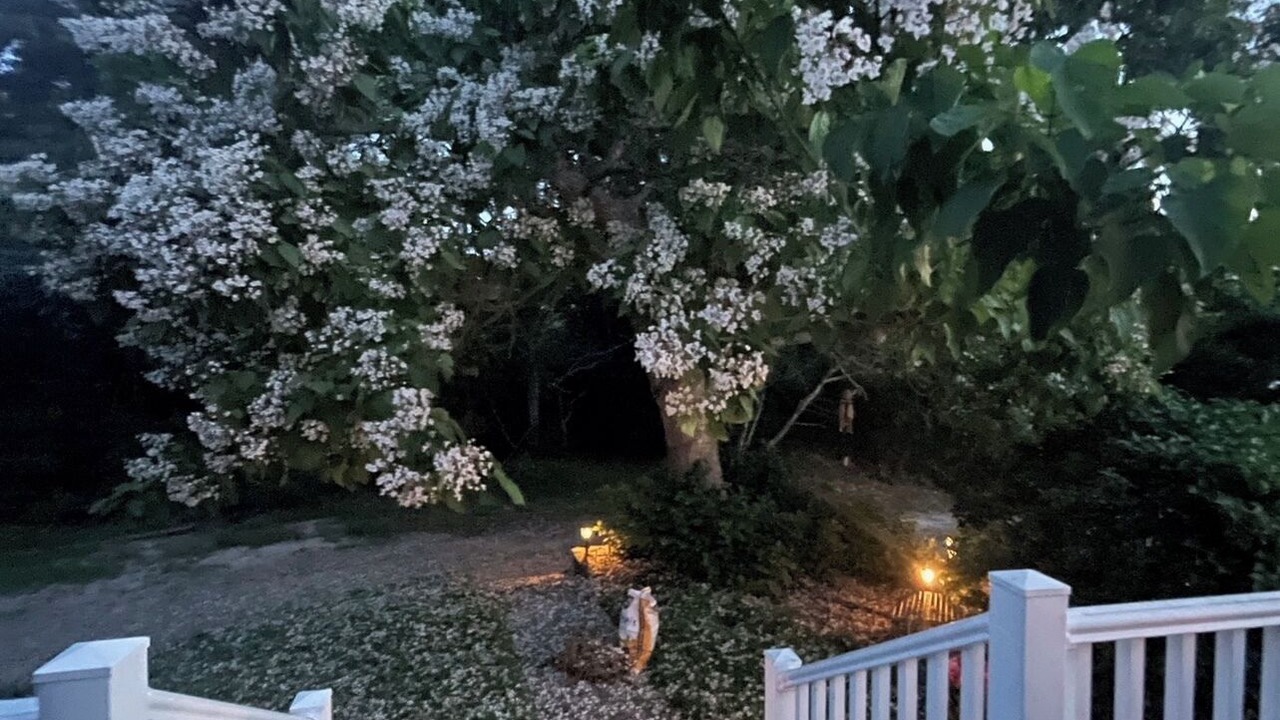 Photo of Outdoor in Wareham
