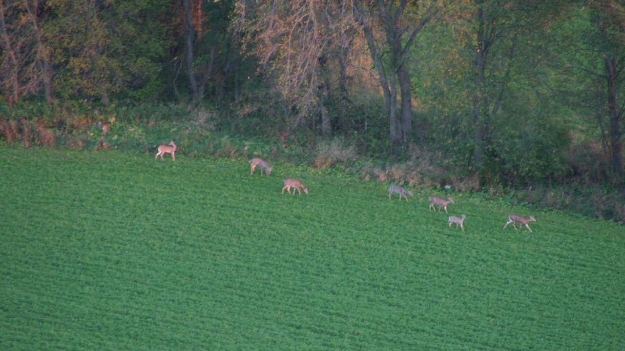 Photo of Others in Wautoma