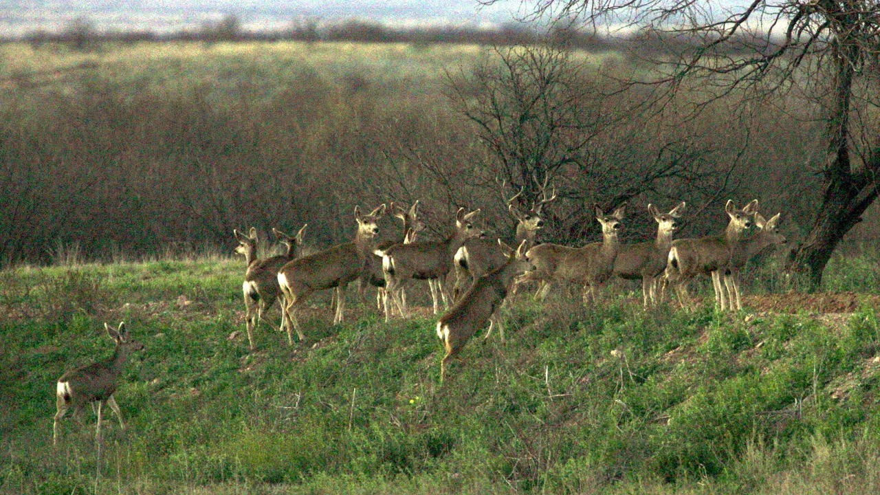 Photo of Others in Wautoma