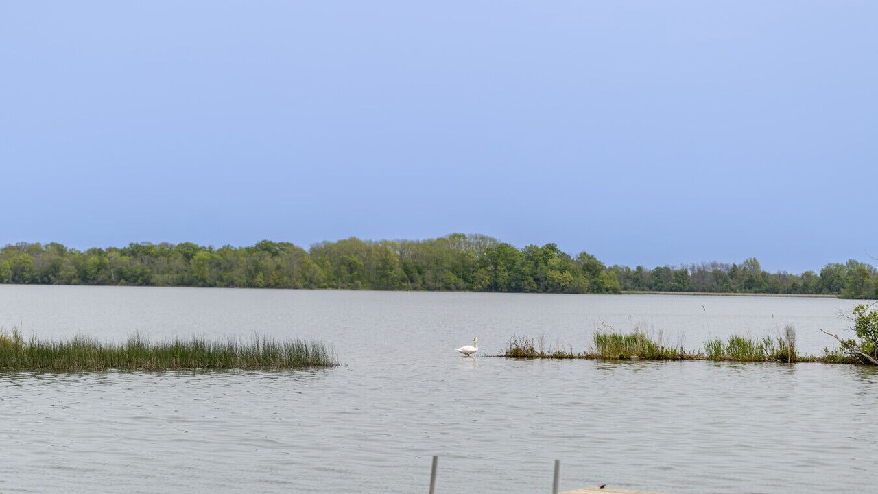 Photo of Outdoor in Prince Edward