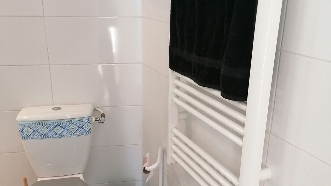 Photo of Bathroom in Antony