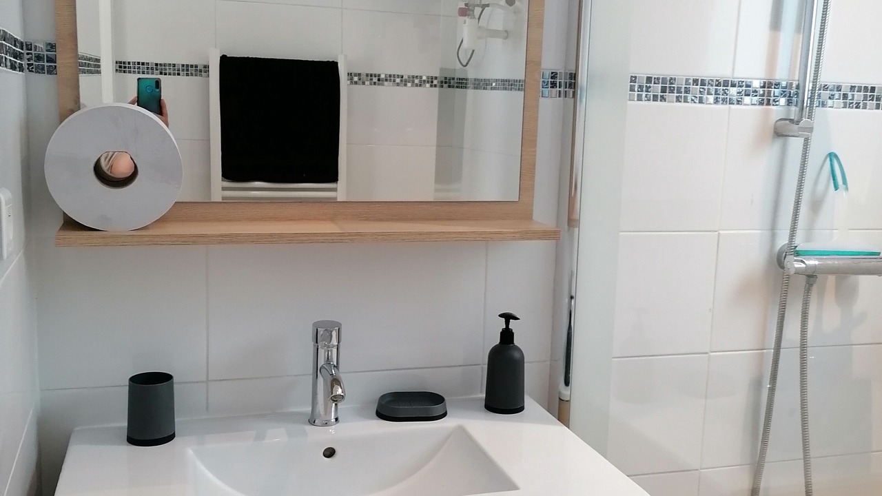 Photo of Bathroom in Antony