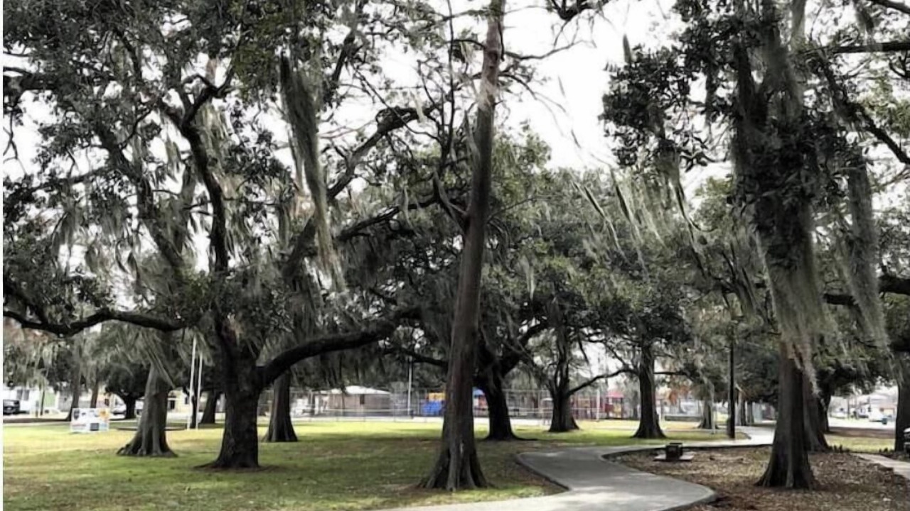 Photo of Others in Westwego