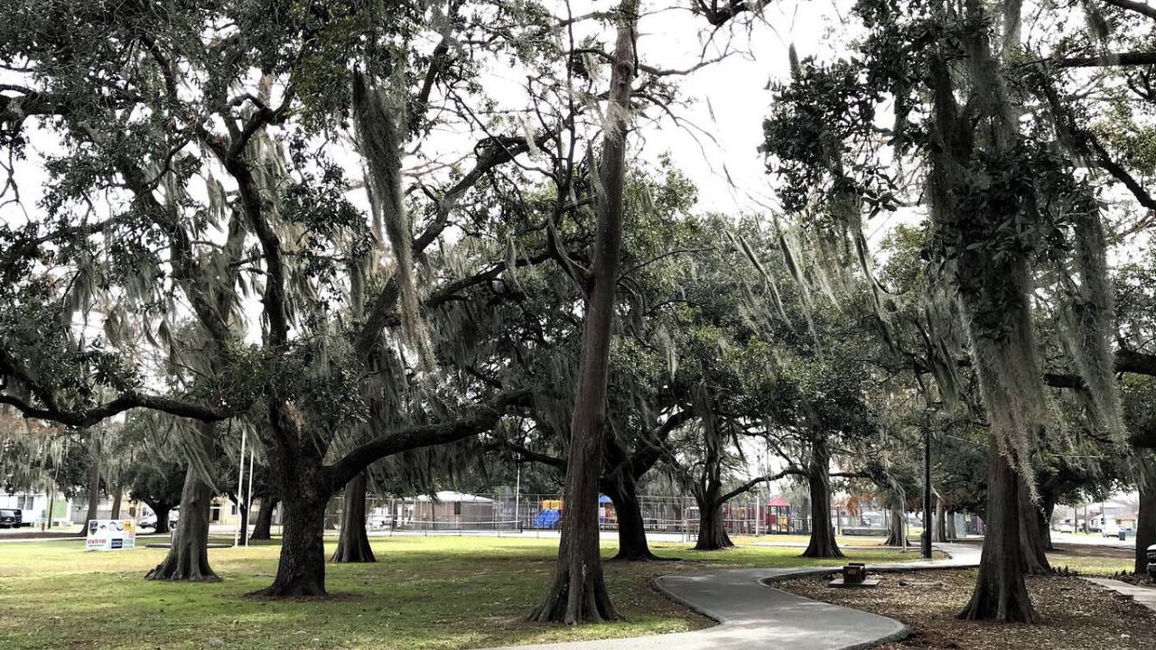 Photo of Others in Westwego