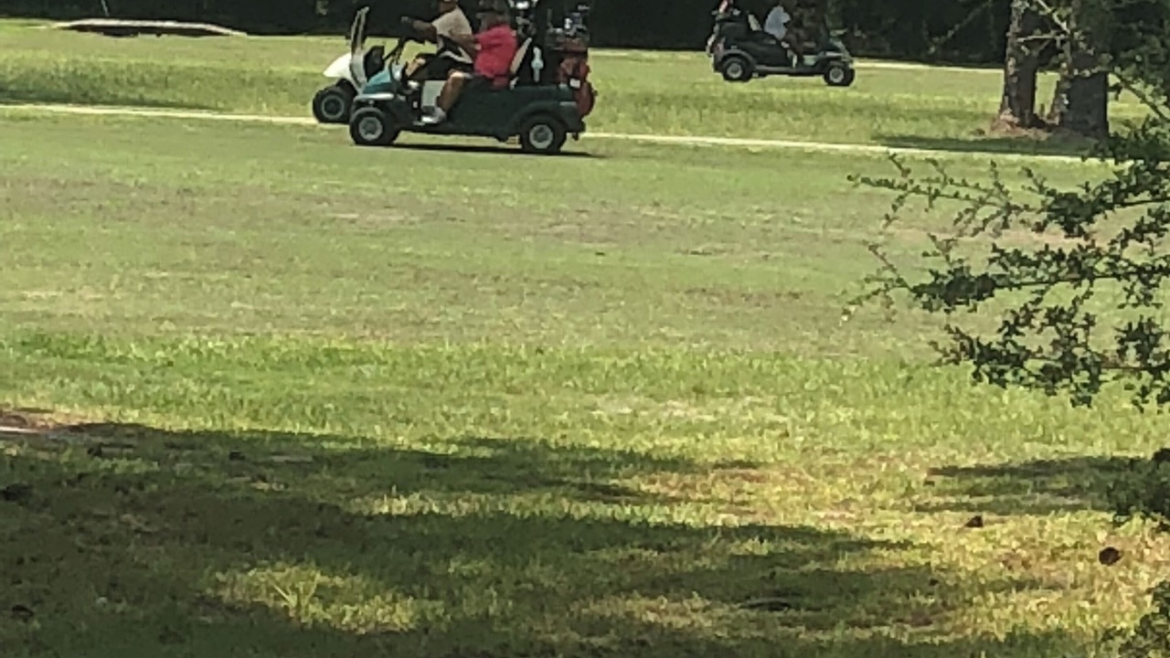 Photo of Outdoor in Pass Christian