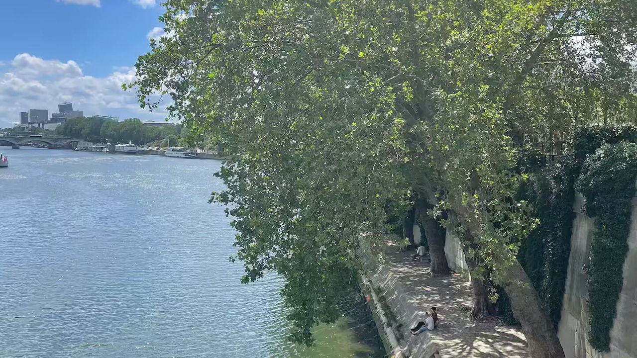 Photo of Others in Les Iles