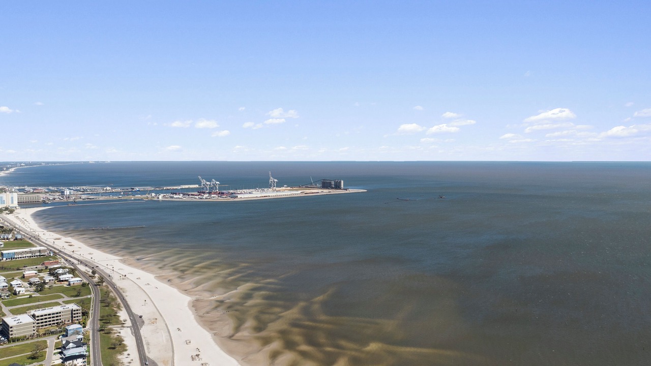 Photo of Others in Gulfport
