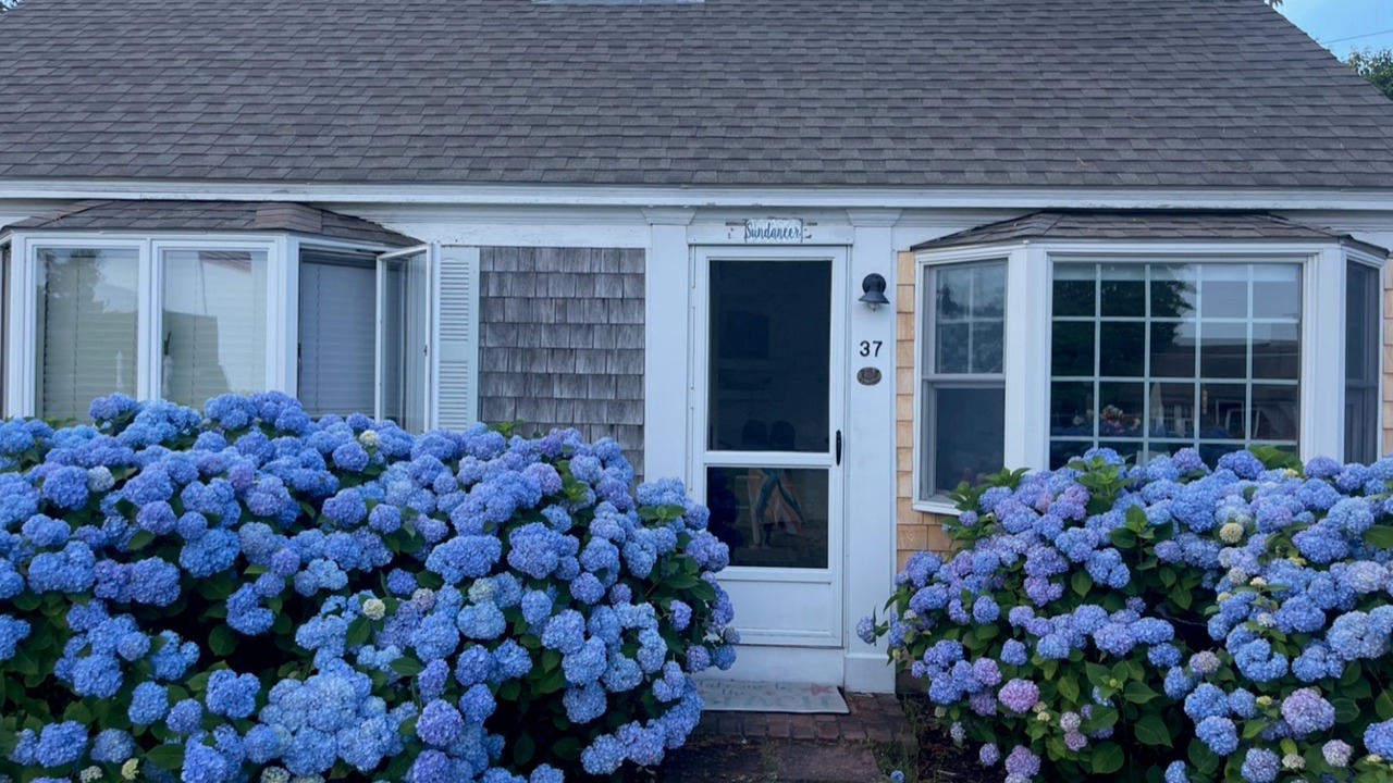 Photo of Others in South Yarmouth