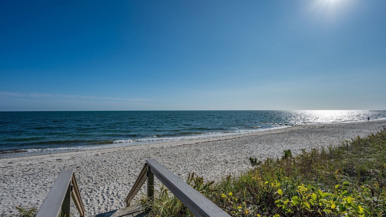 Photo of Others in South Yarmouth