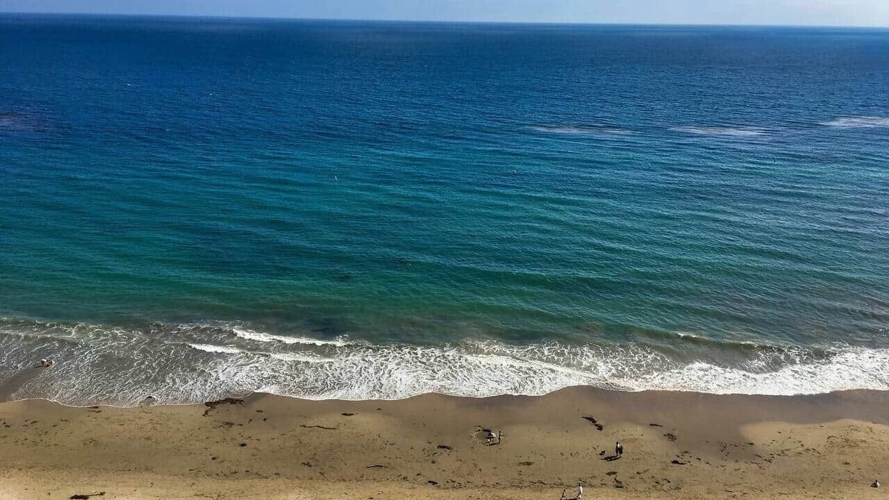 Photo of Others in East Beach