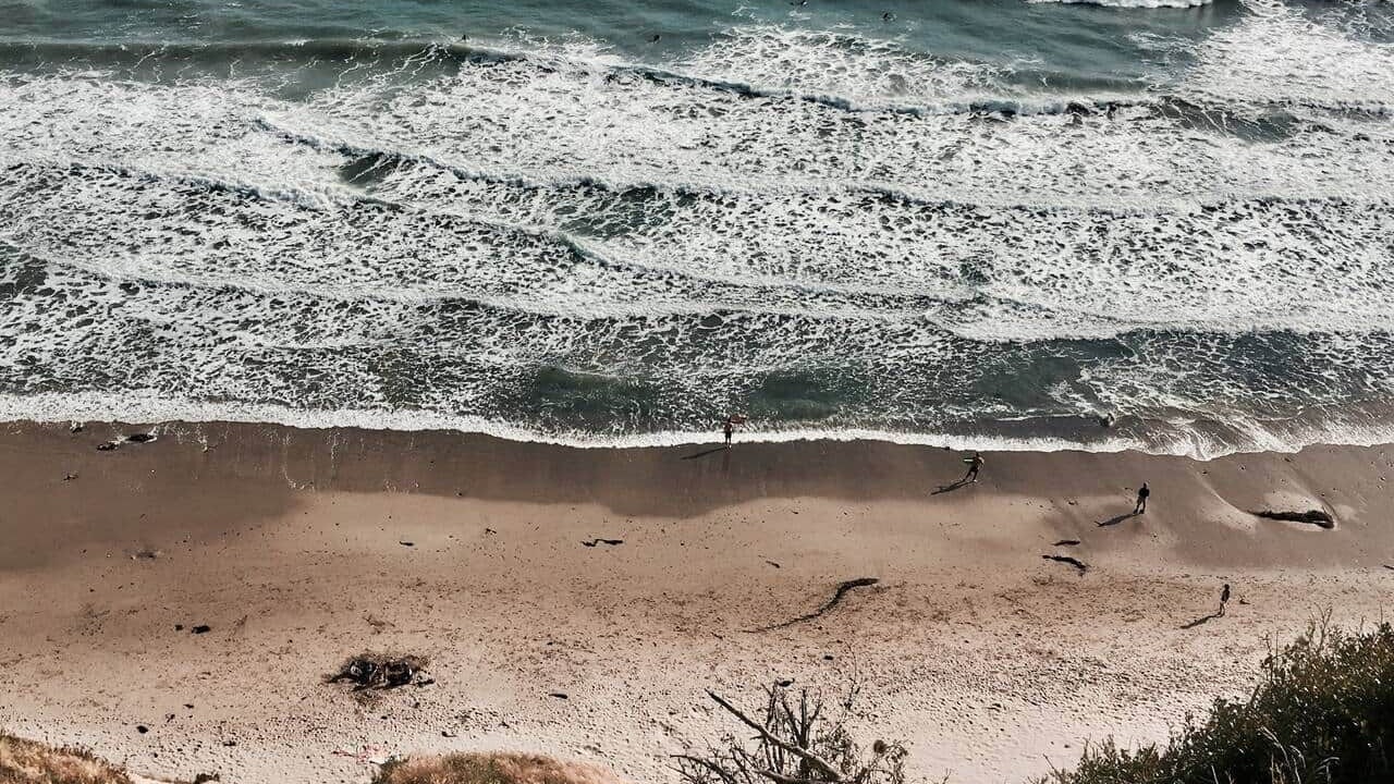 Photo of Others in East Beach