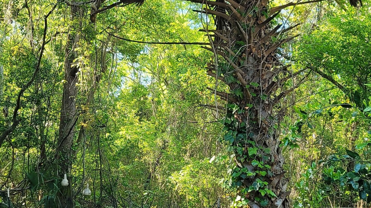 Photo of Outdoor in Grand Bay
