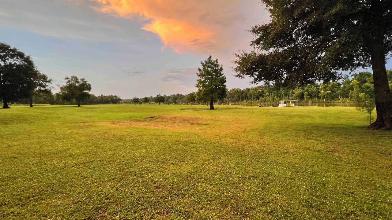 Photo of Others in Atchafalaya