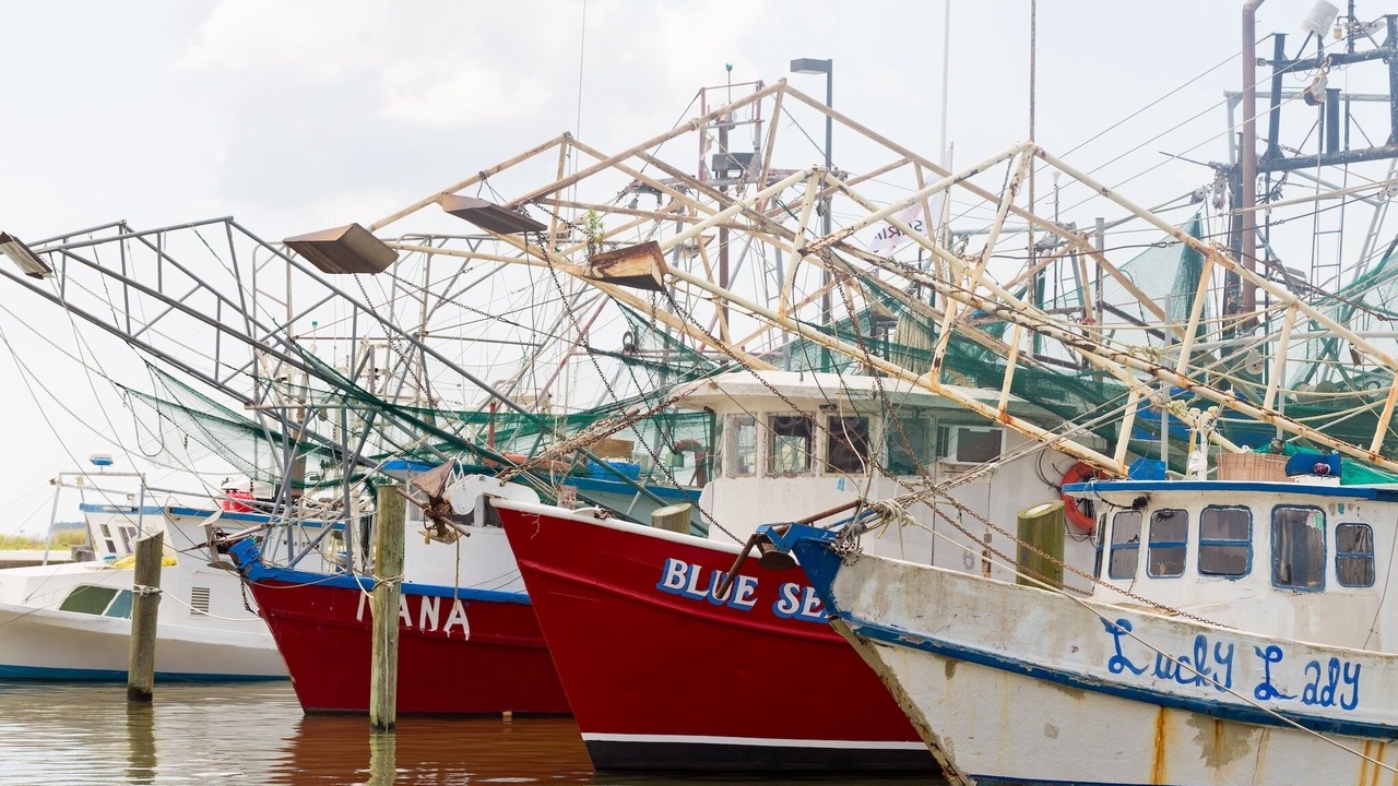 Photo of Others in Biloxi