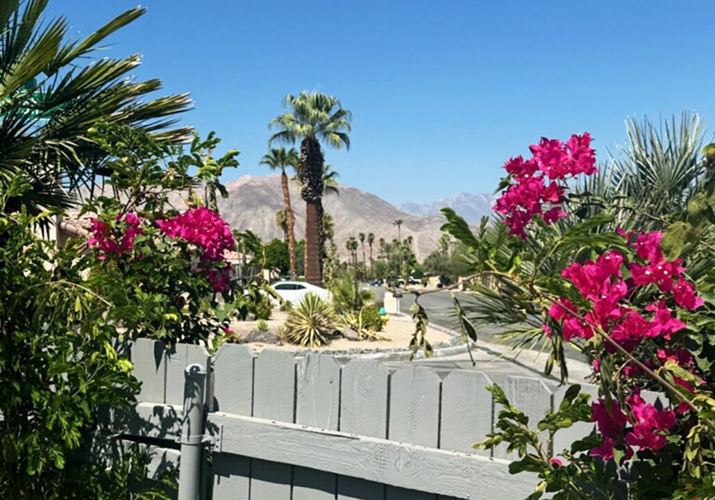 Photo of Outdoor in Palm Desert