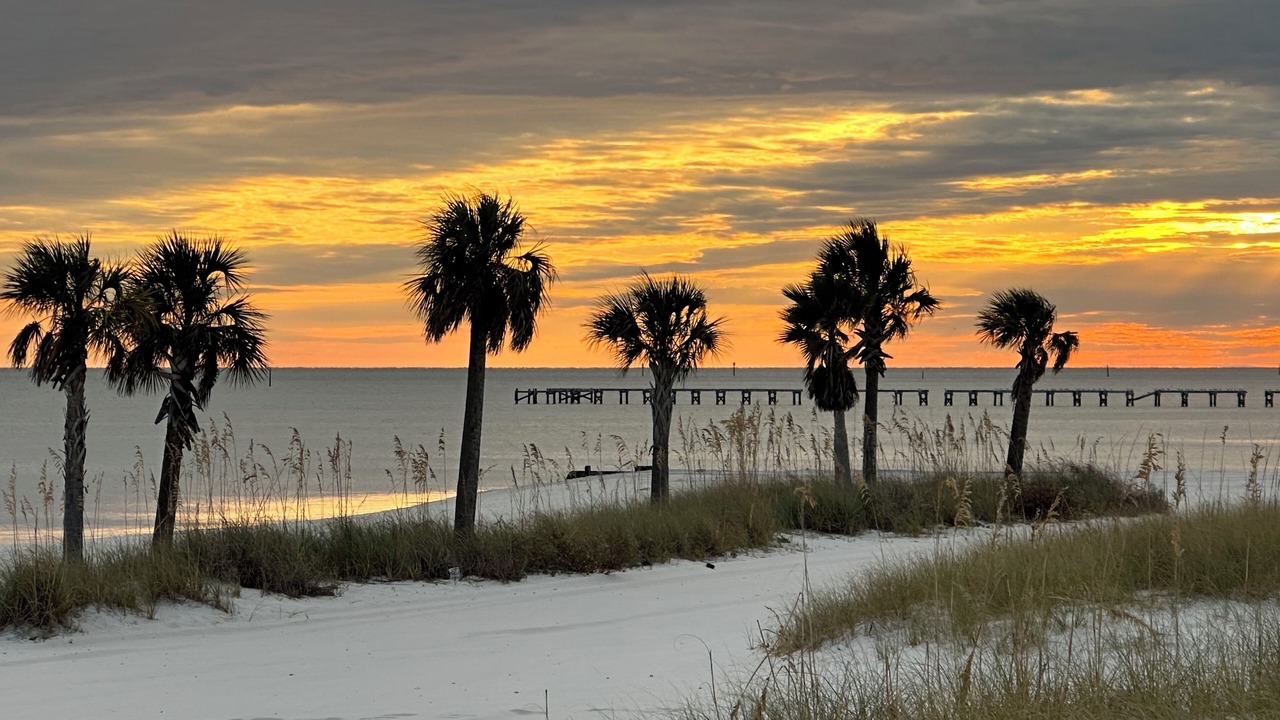 Photo of Others in Biloxi