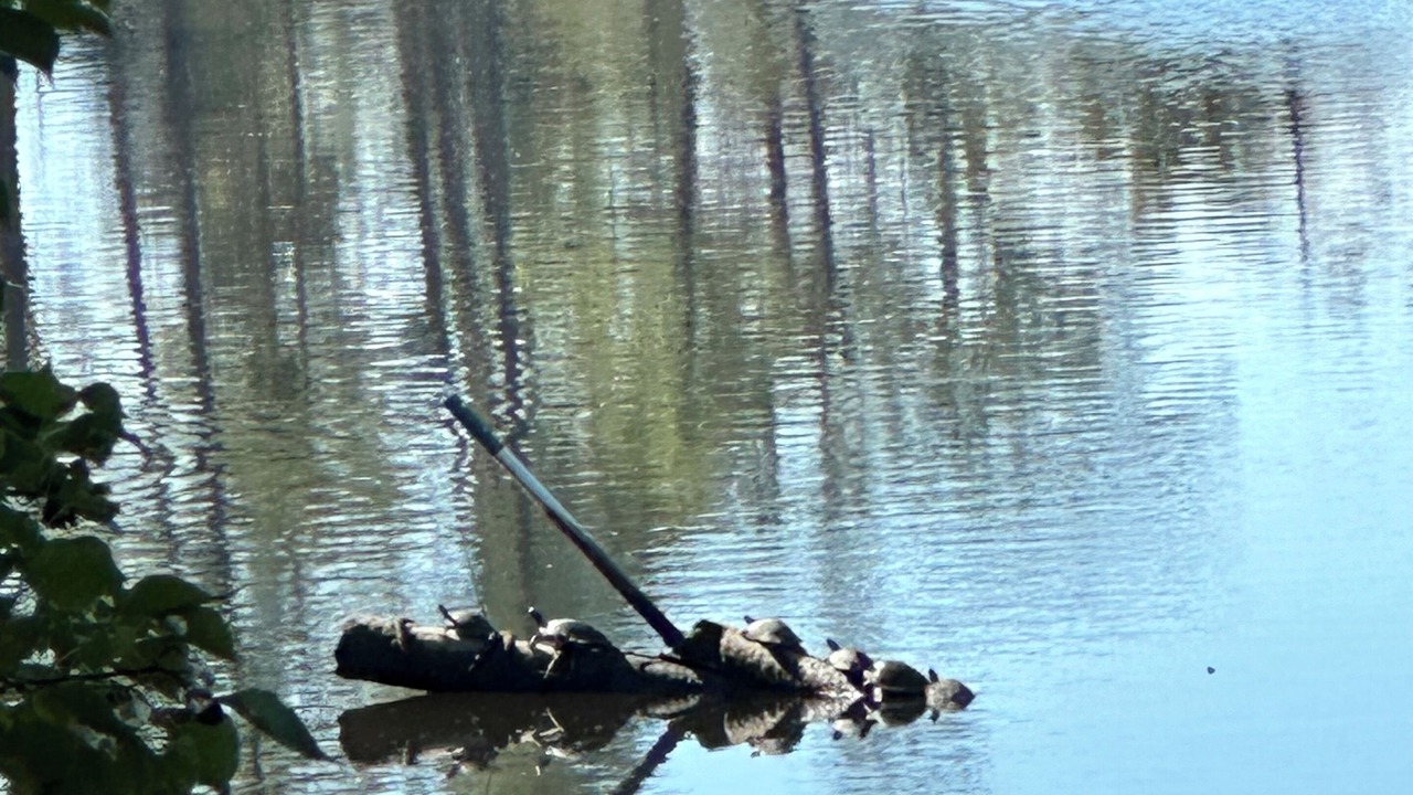 Photo of Others in Biloxi