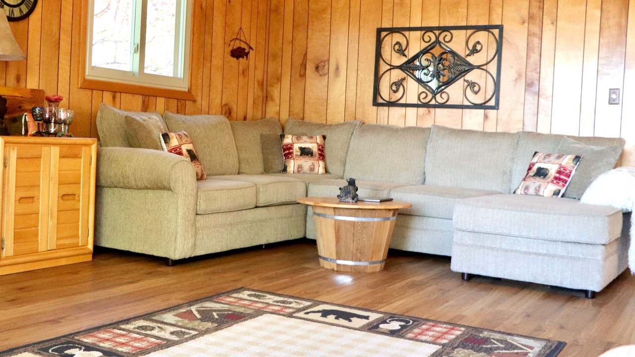 Photo of Livingroom in Duluth