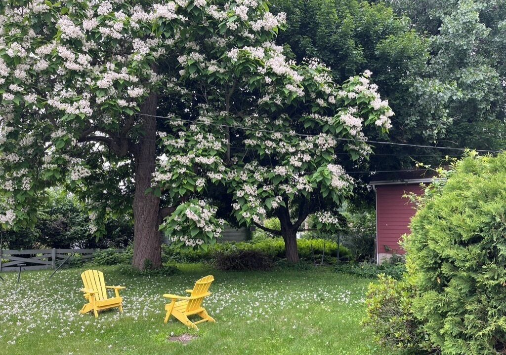 Photo of Outdoor in La Crosse
