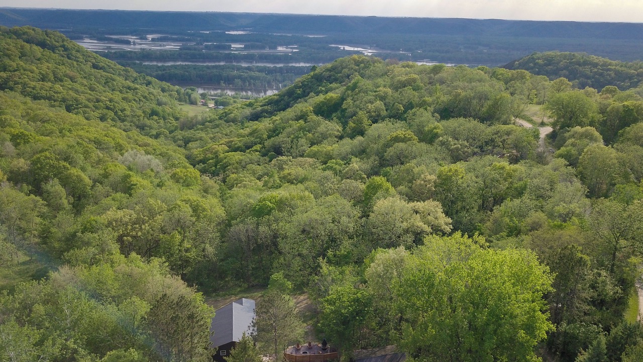 Photo of Outdoor in De Soto