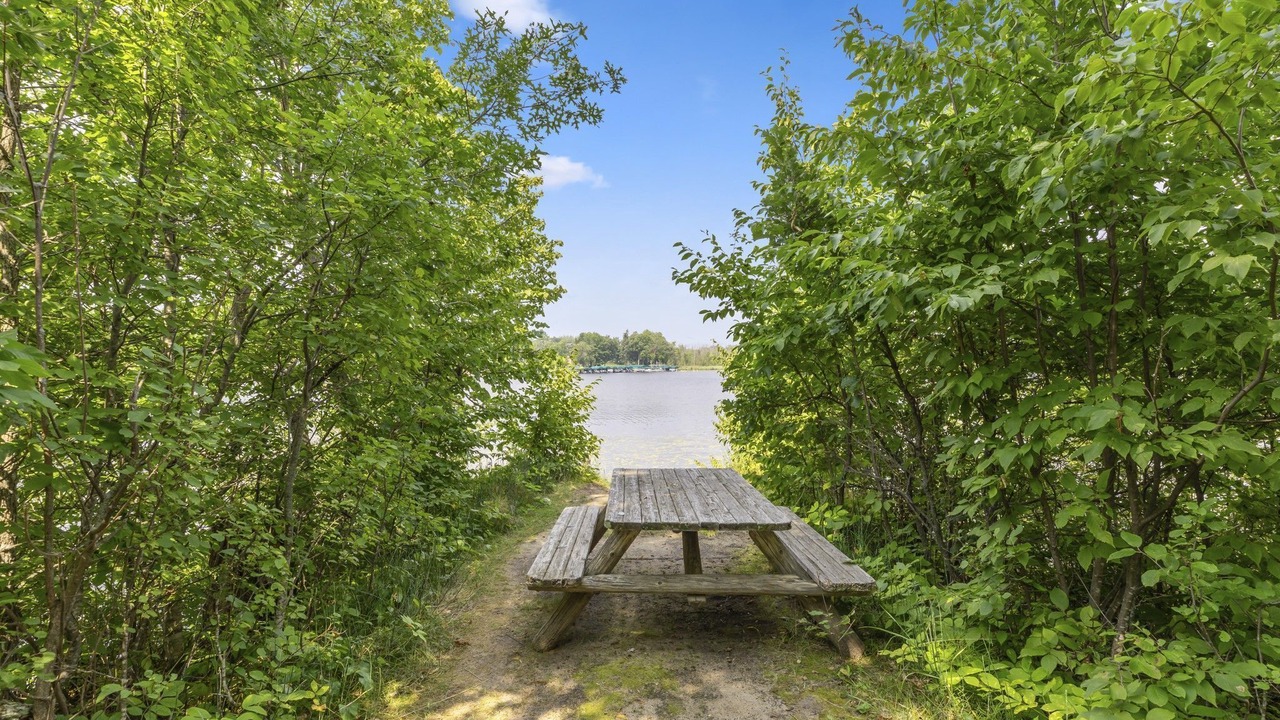 Photo of Others in Lake Shore