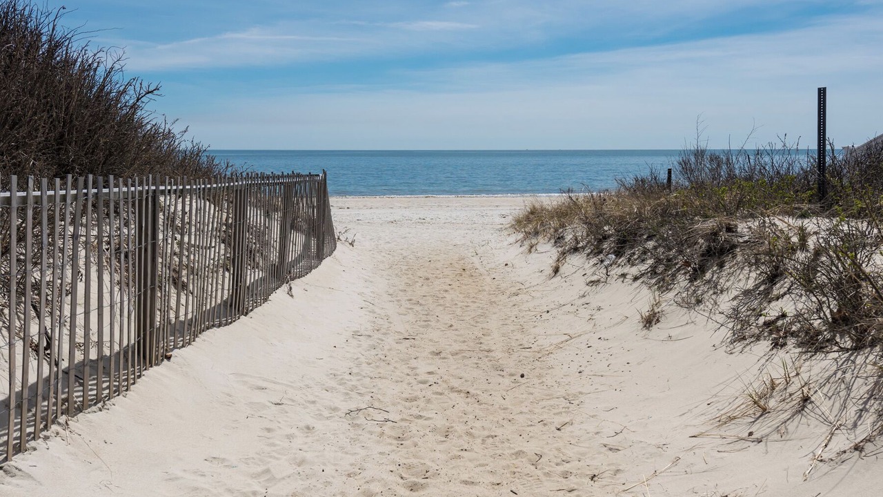 Photo of Others in South Yarmouth